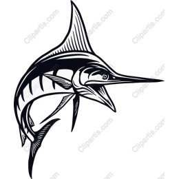 Elegant Marlin