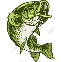 Lively Green Bass
