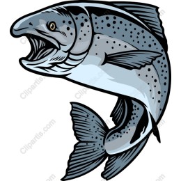 Dynamic Salmon