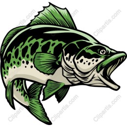 Trophy Trout