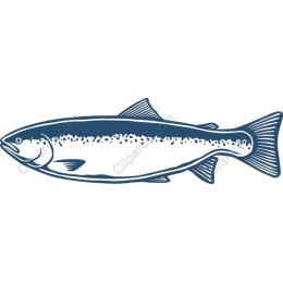 Premium Salmon