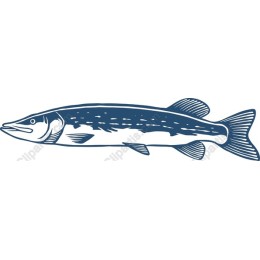 Pike