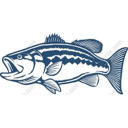 Dynamic Bass Fish