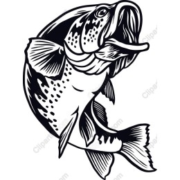 Largemouth Bass