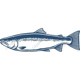 Salmon Fish