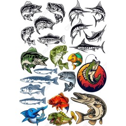 Fishing Bundle: High-Quality