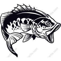 Vibrant Fish