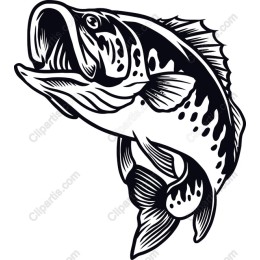 Dynamic Bass Fish