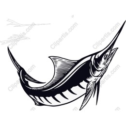 Elegant Marlin