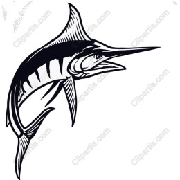 Elegant Marlin