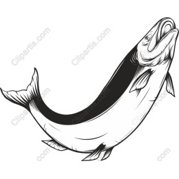 Majestic Leaping Fish