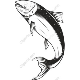 Stunning Fish