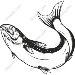 Elegant Fish