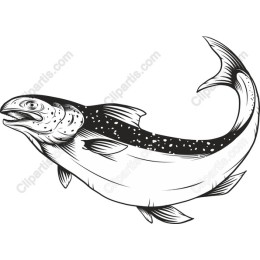 Majestic Fish