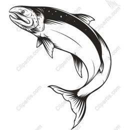 Dynamic Salmon