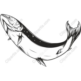 Majestic Black and White Fish