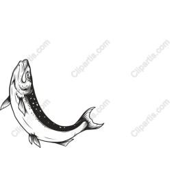 Elegant Salmon Fish