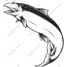 Majestic Fish