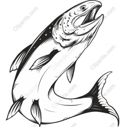 Majestic Fish