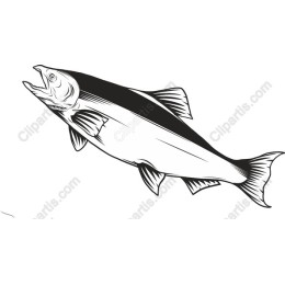 Elegant Salmon