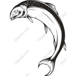 Salmon in and