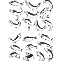  Fish Clipart Bundle