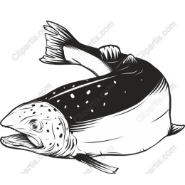 Majestic Fish