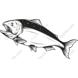 Majestic Salmon