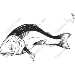 Elegant Fish