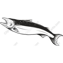 Elegant Fish