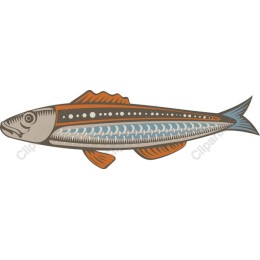 Vibrant Aquatic Fish