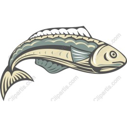 Elegant Fish