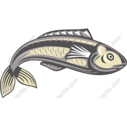 Stylized Fish