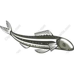 Stylized Fish