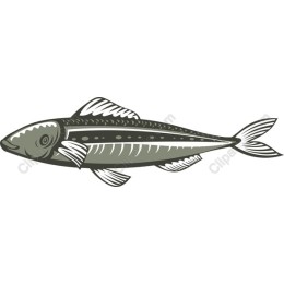 Premium Fish