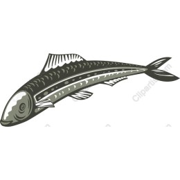 Elegant Aquatic Fish