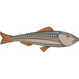 Vibrant Fish