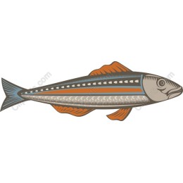 Vintage Fish