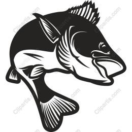 Bass Fish