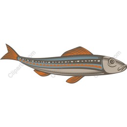 Vibrant Underwater Fish