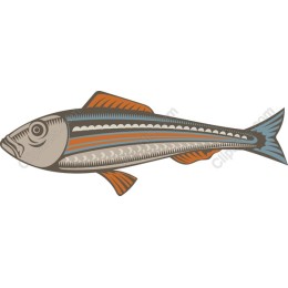 Charming Fish