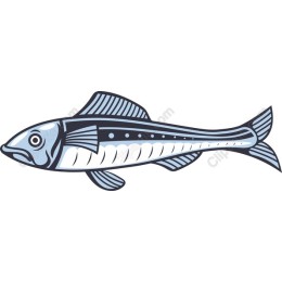 Elegant Fish