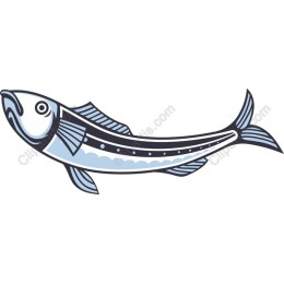 Elegant Fish