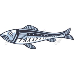 Aquatic Life Fish