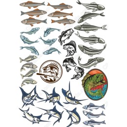 Ultimate Fish Collection