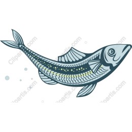 Stunning Fish