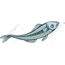 Vintage Fish
