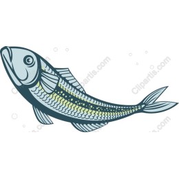 Stylish Fish