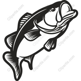 Bass Fish