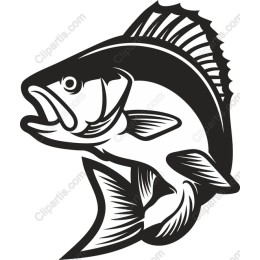 Bass Fish - Dynamic Aquatic Creative Use